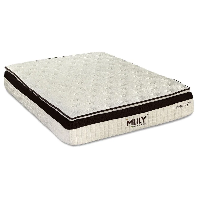 Mlily Tranquility 12-inch Queen-size Gel Hybrid Mattress