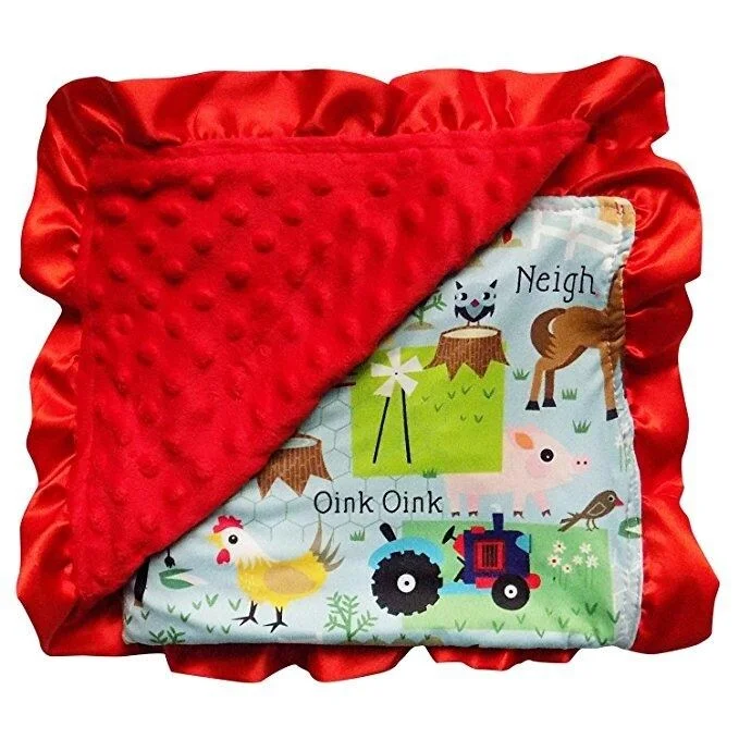 Reversible Soft Textured Minky Dot Baby Infant Toddler Blanket