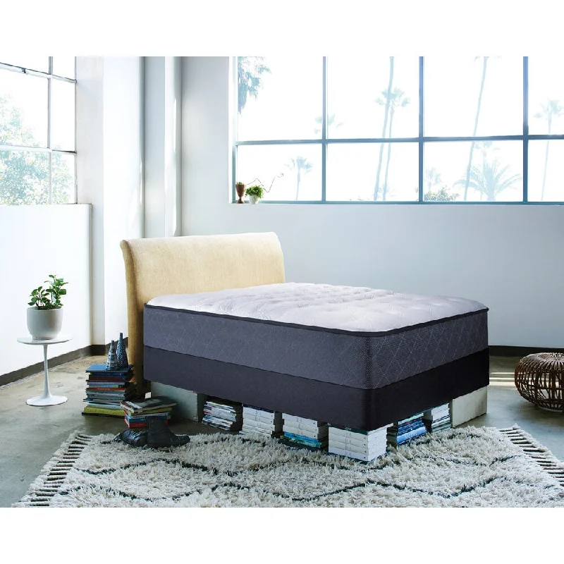 Sealy Posturepedic Happy Canyon Plush Queen-size Mattress - Black/White