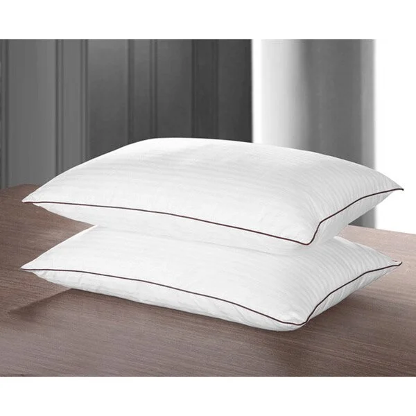 Chic Home Sleep Best I Luxurious Down Alternative Pillow (Set of 2) - White